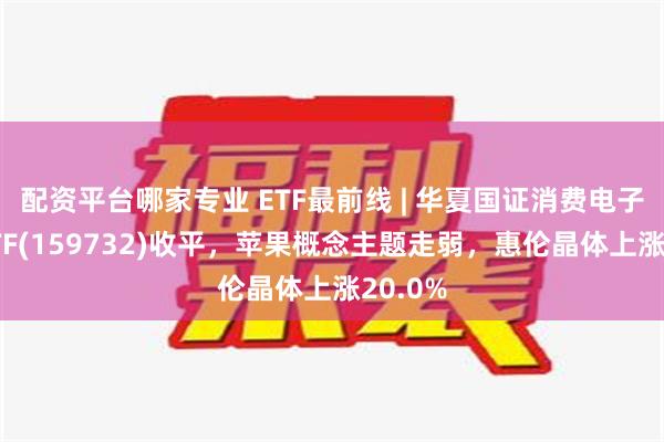 配资平台哪家专业 ETF最前线 | 华夏国证消费电子主题ETF(159732)收平，苹果概念主题走弱，惠伦晶体上涨20.0%