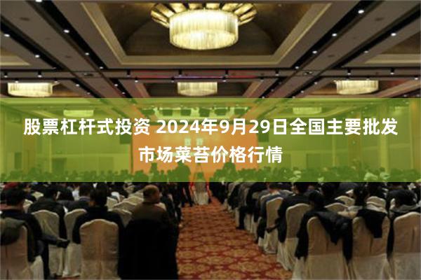 股票杠杆式投资 2024年9月29日全国主要批发市场菜苔价格