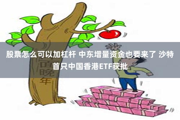 股票怎么可以加杠杆 中东增量资金也要来了 沙特首只中国香港E