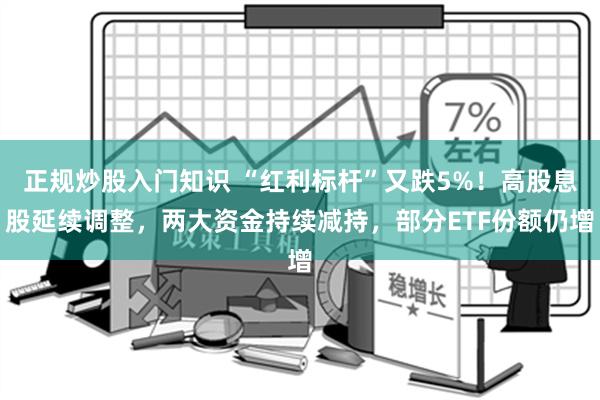 正规炒股入门知识 “红利标杆”又跌5%！高股息股延续调整，两