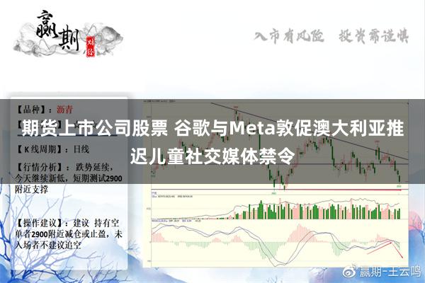 期货上市公司股票 谷歌与Meta敦促澳大利亚推迟儿童社交媒体