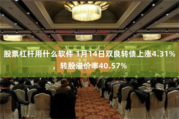 股票杠杆用什么软件 1月14日双良转债上涨4.31%，转股溢