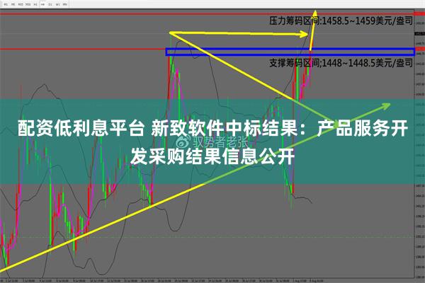 配资低利息平台 新致软件中标结果：产品服务开发采购结果信息公